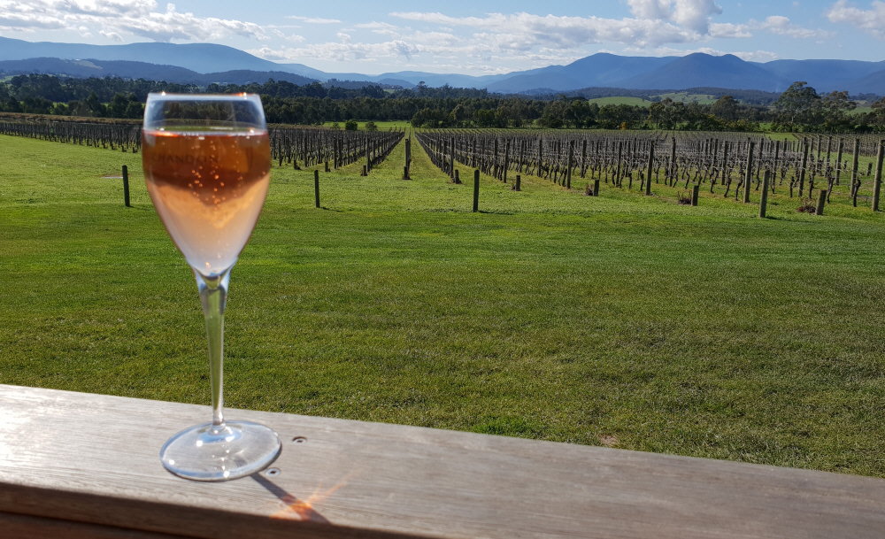 yarra valley winery tours